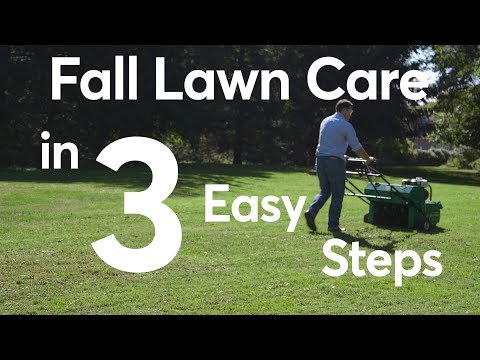 Fall Lawn Care in 3 Easy Steps  | Consumer Reports - UCOClvgLYa7g75eIaTdwj_vg