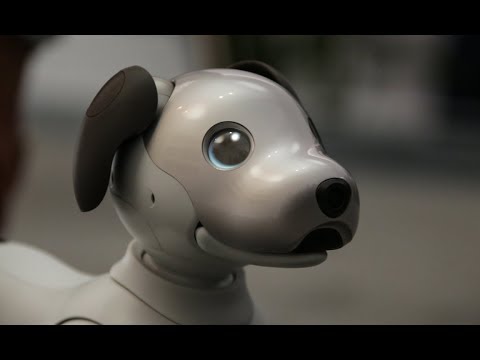 Meet Aibo, the robot dog from Sony - UCCjyq_K1Xwfg8Lndy7lKMpA