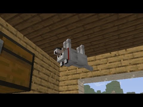 C418 - Dog played over cursed images of dogs