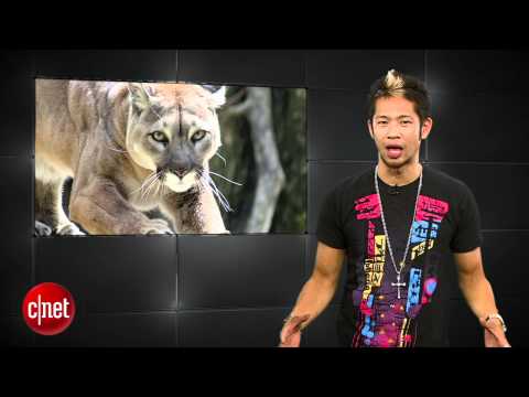 Apple Byte - Your iPhone won't kill you - UCOmcA3f_RrH6b9NmcNa4tdg