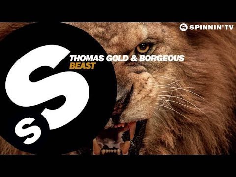 Thomas Gold & Borgeous - Beast (OUT NOW) - UCpDJl2EmP7Oh90Vylx0dZtA