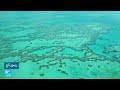 ارتفاع حرارة المياه تهدد -الحاجز المرجاني العظيم- في أستراليا • فرانس 24 / FRANCE 24
