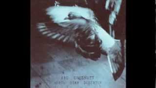 Vic Chesnutt - "Everything I Say"