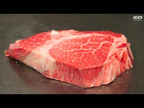 Rare Motobu Wagyu Beef - Teppanyaki in Okinawa, Japan - UCu9g5OmzcCpcJnmSYyHnIVw