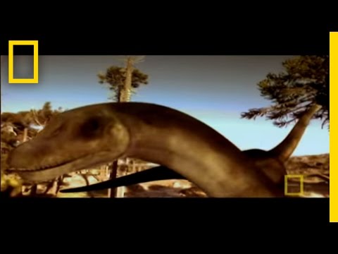 Digging Up a Dinosaur Graveyard | National Geographic - UCpVm7bg6pXKo1Pr6k5kxG9A