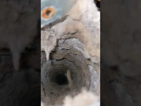 Jobs with Jesus:⚠️Clogged Dryer Vent