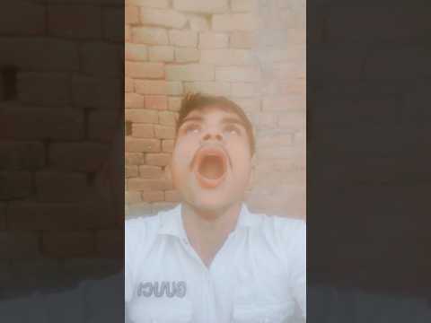 नीली पीली चूड़ी ले आओ सजना #song #love #newsong #haryanvi #belong