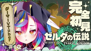 🎮【 ゼルダの伝説 ティアーズ オブ ザ キングダム #12 】完全初見！戦いを終わらせるときがきた‪‪‪ #ティアキン 【 るみぷろ / 