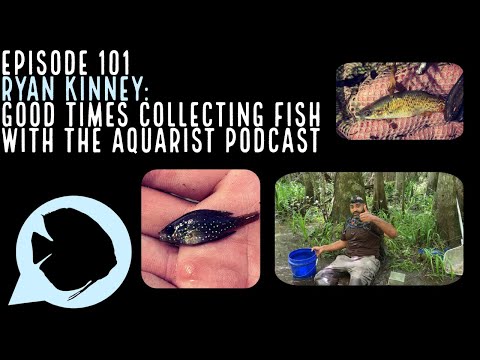 Ep. 101 - Ryan Kinney_ Good Times Collecting Fish  Source:
https_//www.podbean.com/eau/pb-k4r2s-1031747

Pick up your own Ziss Egg Tumbler from Aquariu