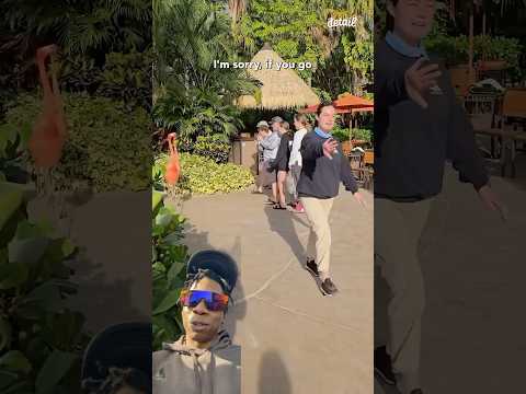 If you go on vacation and you don’t see this get a refund💀