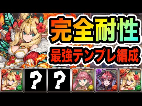 完全耐性ハイビスカス(ロザリン)テンプレ編成！強化版ジルを３発で沈める圧倒的強さで環境トップ間違いなし！！！【パズドラ】