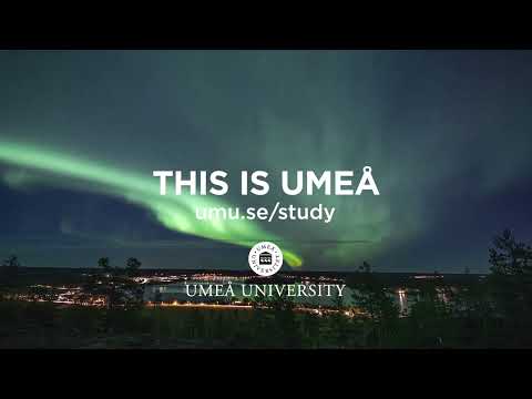 This is Umeå University (Sweden) - Northern Lights