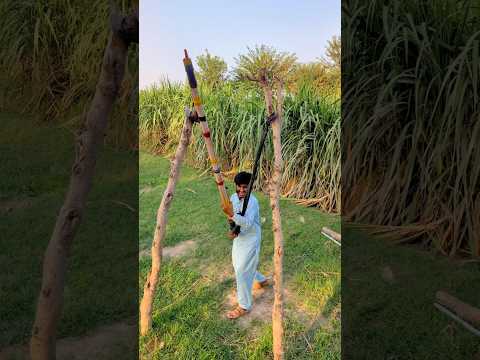 Viral Video 📸🦜 #funny #shortvideos #comedy #viralvideos