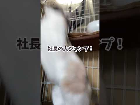 thumbnail_s0ziYq626VE