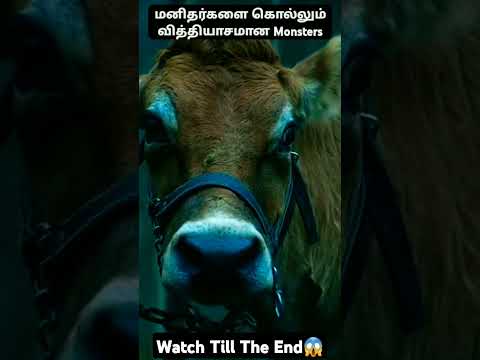 கடைசி வரை பாருங்க😱 #shorts #tamilvoiceover #தமிழ் #tamilshorts