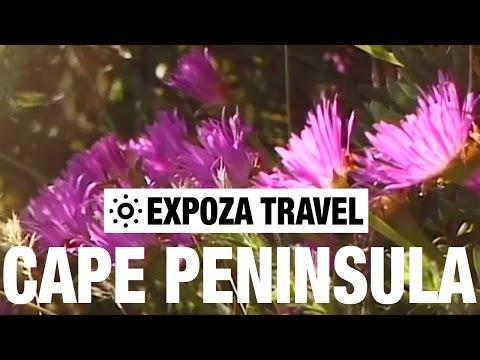 Cape Peninsula (Africa) Vacation Travel Video Guide - UC3o_gaqvLoPSRVMc2GmkDrg