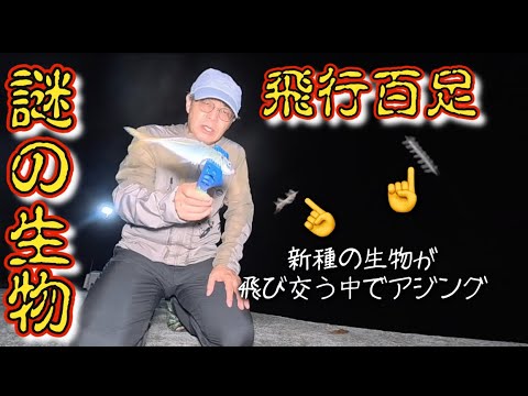 【アジング】空を飛び交う謎の虫新作ワームインプレッション！「こいつできる！」