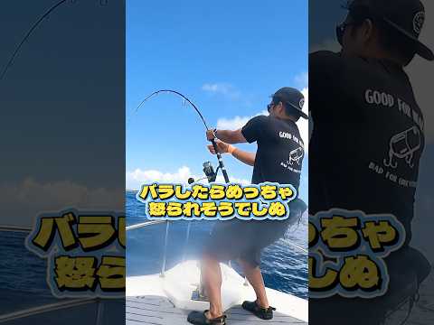 キハダマグロ釣りたくてしぬ夏