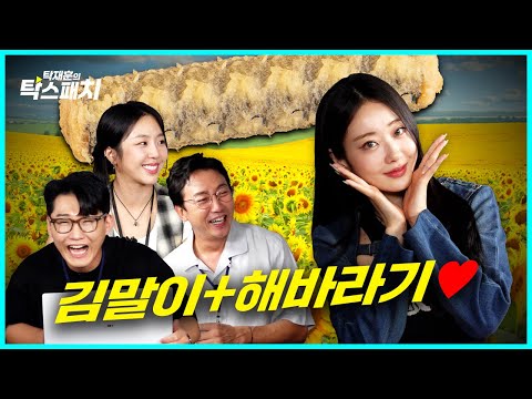 경리, 해바라기씨유에 김말이를 튀겨먹는 우리 회사에 있었으면 하는 최고의 경리ㅣ탁재훈 신규진 김예원의 탁스패치 EP.18