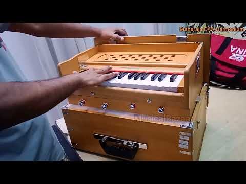 Bina Deluxe Portable Kirtan Harmonium