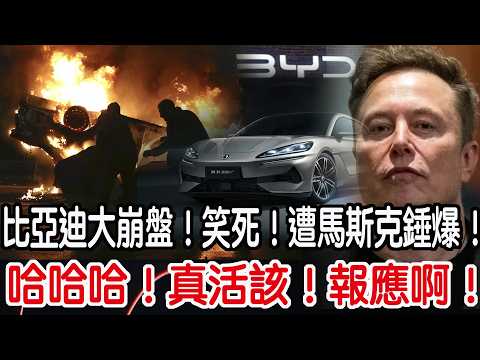 哈哈哈！真活該！報應啊！比亞迪大崩盤！笑死！遭馬斯克錘爆！