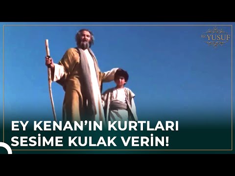 Hz. Yakup Kurtlardan Aldı Haberi | Hz. Yusuf