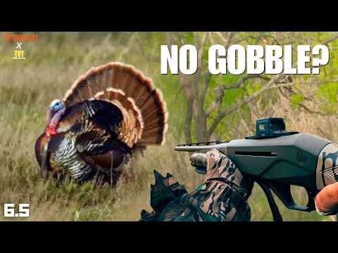 What to do when a Turkey WON'T GOBBLE?