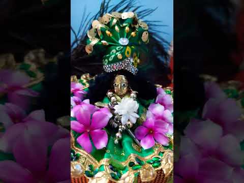 बस मौत है जो एक बार मिलती है 🦚💚🙏 #radheradhenaam #ytshorts  #motivation