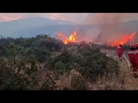 Αλβανία - Βουλγαρία: Ζήτησαν συνδρομή από την ΕΕ για να αντιμετωπίσουν τα πύρινα μέτωπα