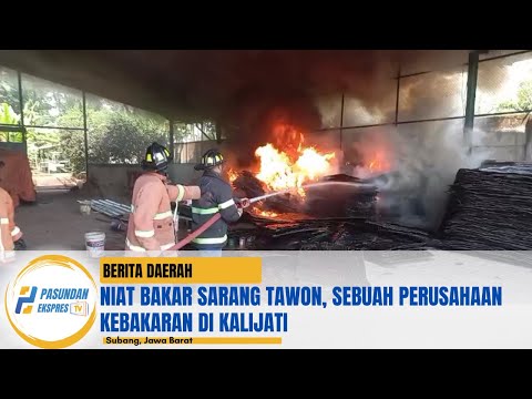 Niat Bakar Sarang Tawon, Sebuah Perusahaan Kebakaran di Kalijati
