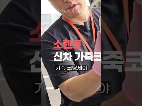 신형 소렌토 가죽시트 이렇게만 관리하면 됩니다! #천연가죽 #나파가죽 #신차패키지 #가죽코팅 #leathercoat