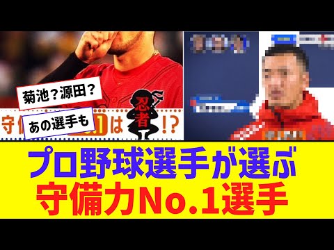 プロ野球選手が選ぶ、守備部門No.１選手は？！？！？！【なんJ反応】