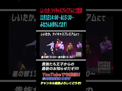 【緊急告知】急ですが生配信します！#しいたか　＃しいたか。#嬉しい