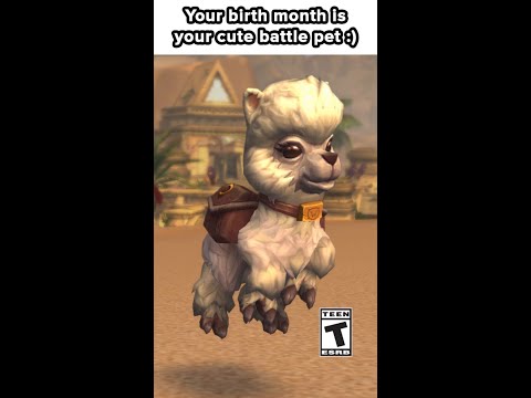 Your birth month is your cute battle pet!