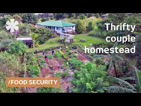 Sustainable Living in Hawaii: From Farm to Chocolate