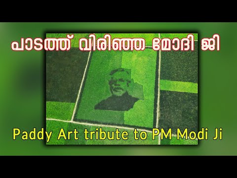 പാടത്ത് ഒളിഞ്ഞിരിക്കുന്ന മോഡി ജിയുടെ ചിത്രം | പാഡി ആർട്ട് | Paddy Art