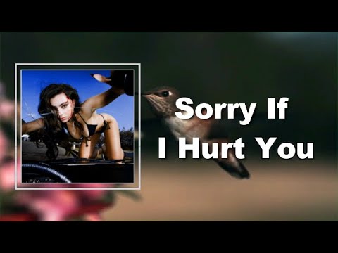 Charli XCX - Sorry If I Hurt You  (Lyrics)