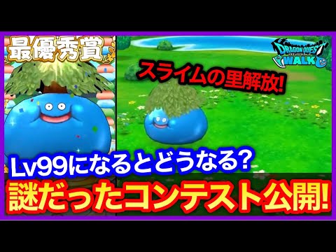 #361【ドラクエウォーク】謎に包まれたコンテスト先行公開！ミニゲームはある？スライムの里で出来ることは？【攻略解説】