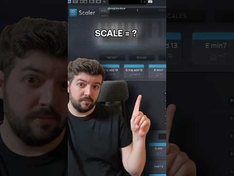 Scaler Q&A 🤔