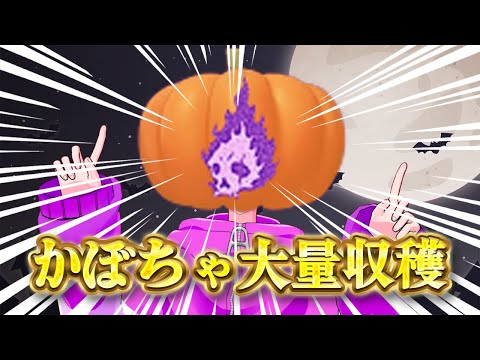 thumbnail_s3qe3R0Dix8
