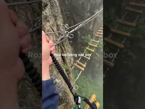 20 октября 2025 г.