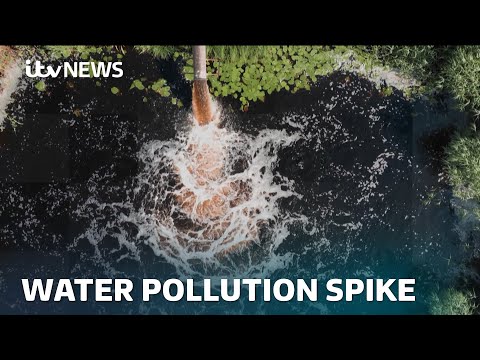 Serious water pollution incidents in England up by 60% last year | ITV News