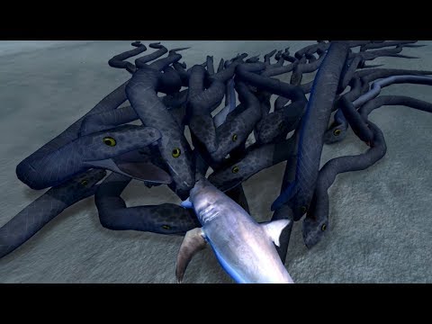 NEW SHARK Vs GIANT TITANOBOA SNAKE!!!  | Beast Battle Simulator Gameplay | Ep3 - UCP-iaFrmWcOG0o461wMicdg