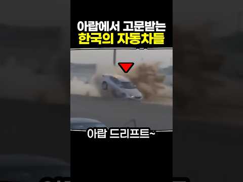 아랍에서 고문받는 한국의 자동차들