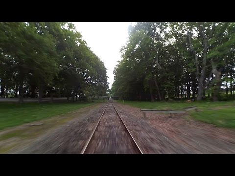 FPV practice (leafy branch forest) - UCTXOorupCLqqQifs2jbz7rQ