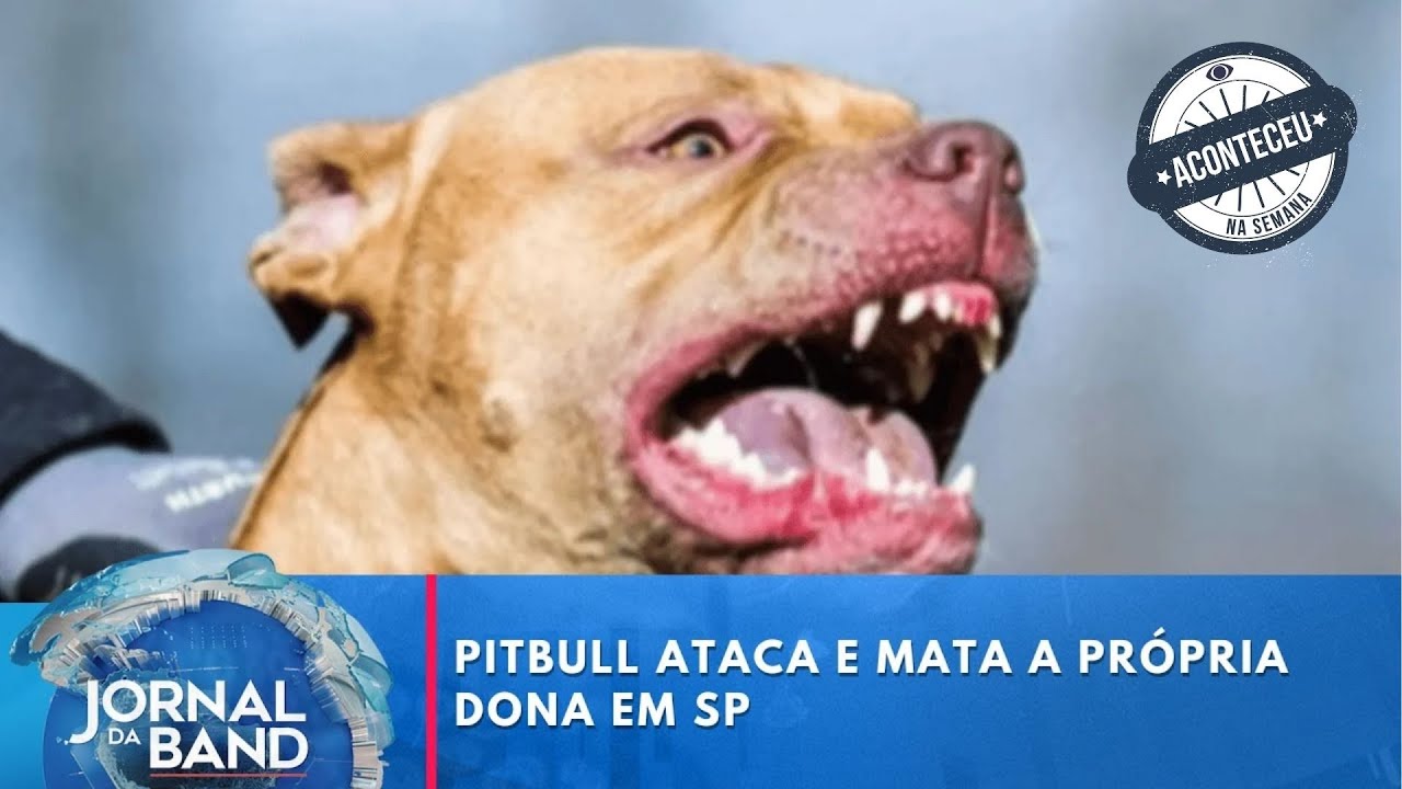 Pitbull ataca e mata a própria dona em São Paulo | Aconteceu na Semana