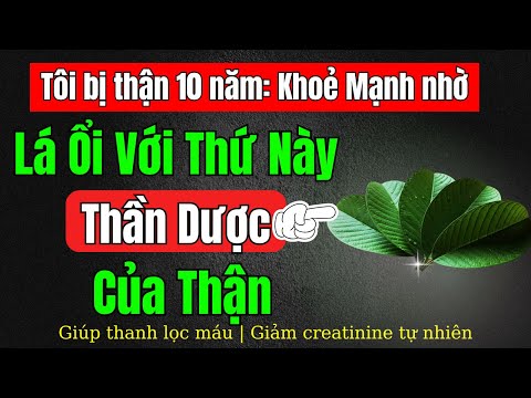 5 cách nấu nước Lá Ổi giúp giảm tiểu đêm, lọc máu, và ngủ ngon hơn sau tuổi 60!