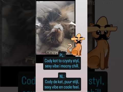 Cody de kat, puur stijl,sexy vibe en coole feel😸🫶.#voorjou #Cody #Motywacja #Styl #Sexy