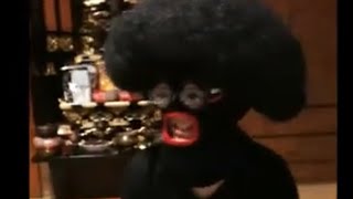 新たな言語を生み出したモリータカハシとかいう男