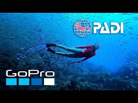 GoPro: PADI Dive Competition Announce 2020
